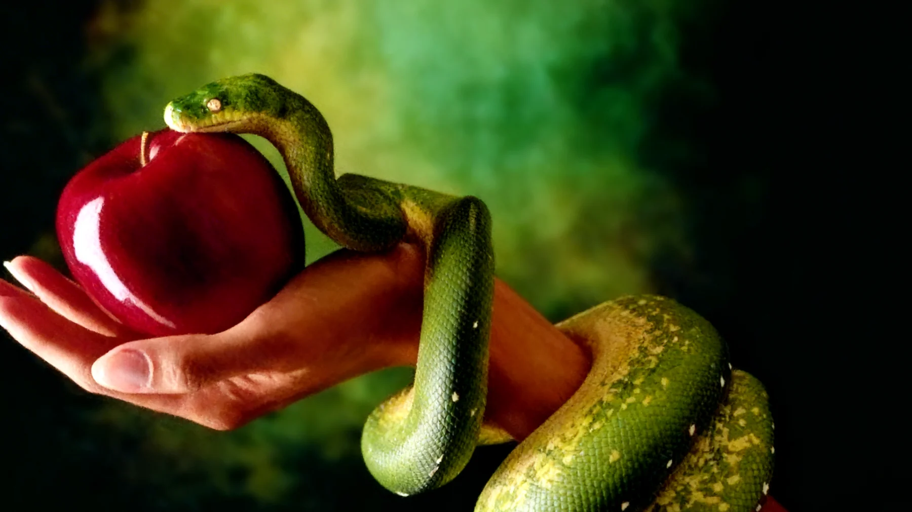 Forbidden Fruit2026-02-15T12:58:37.404Z"