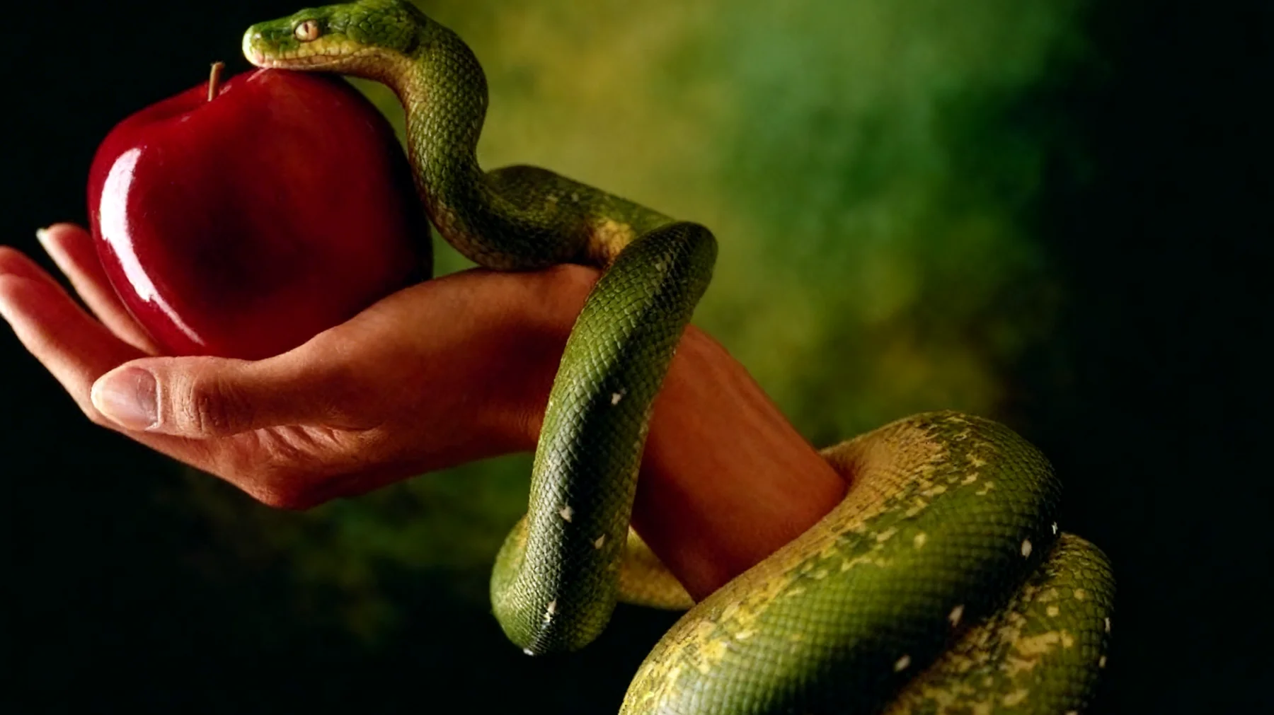 Forbidden Fruit2026-02-16T13:00:36.683Z"