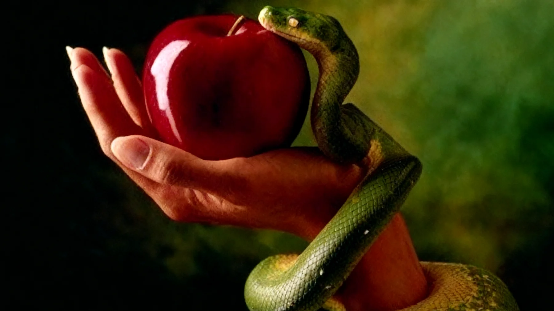 Forbidden Fruit2026-02-18T13:00:17.817Z"