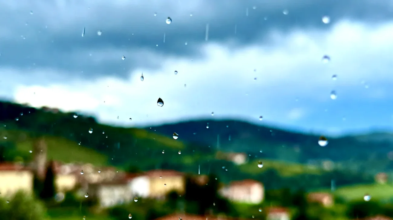 Meteo"